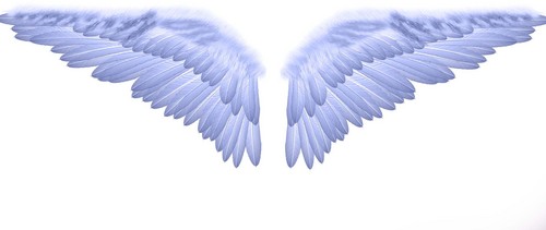 wings-from-heaven--large-prf-1163321208